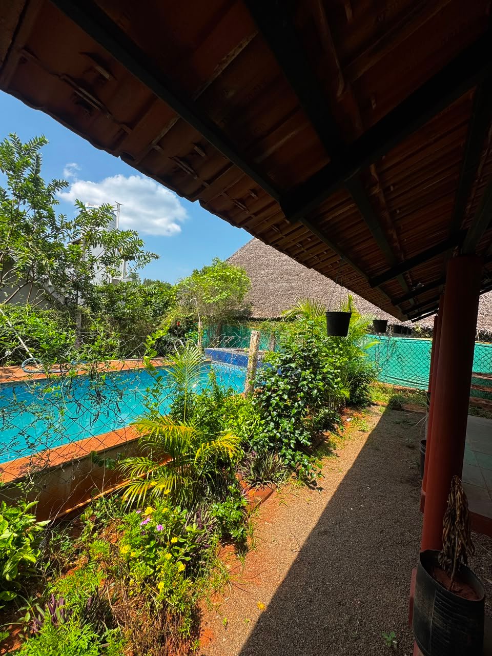 Jungle Resort accommodation
