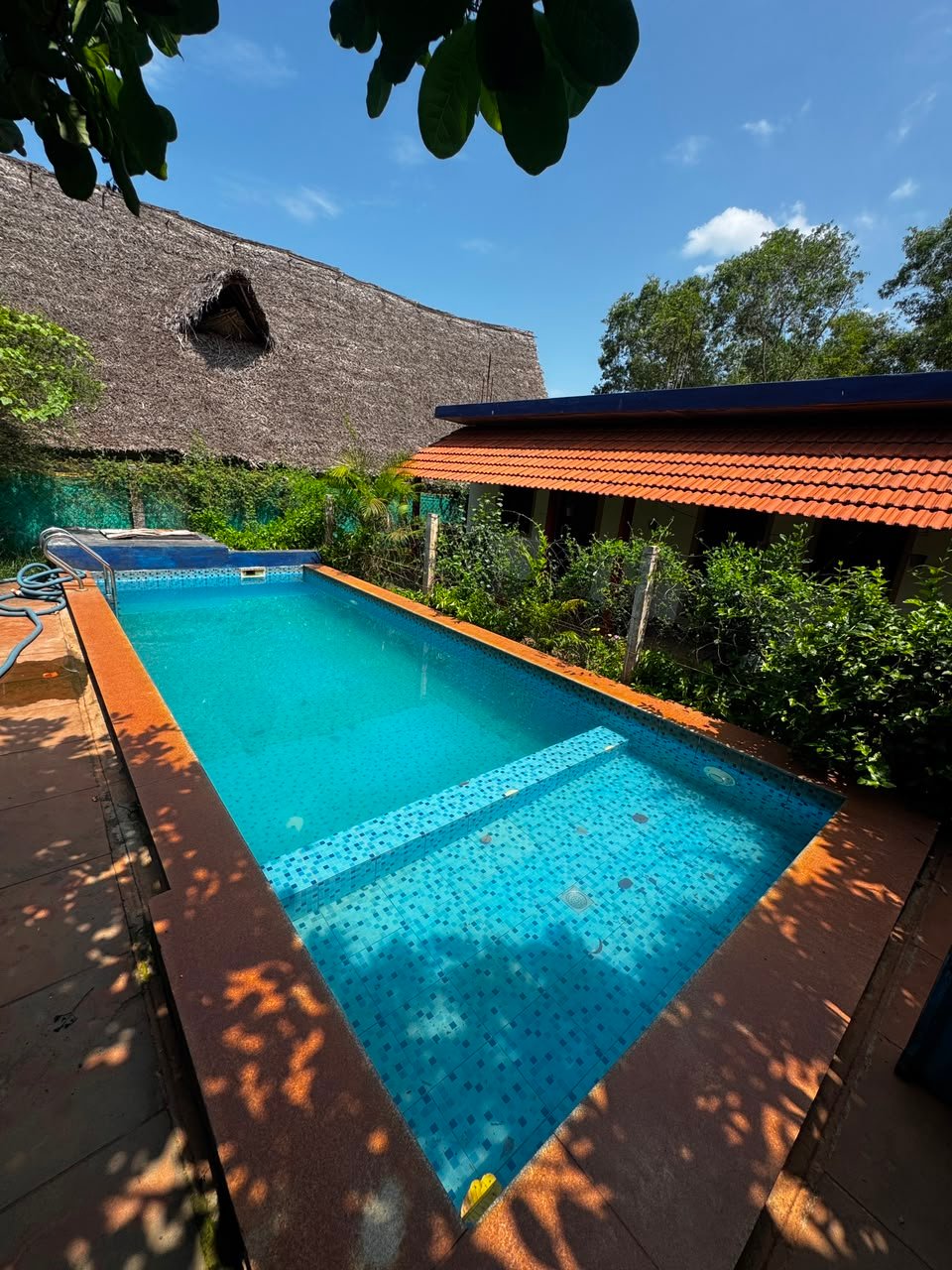 Garden at Jungle Resort Auroville