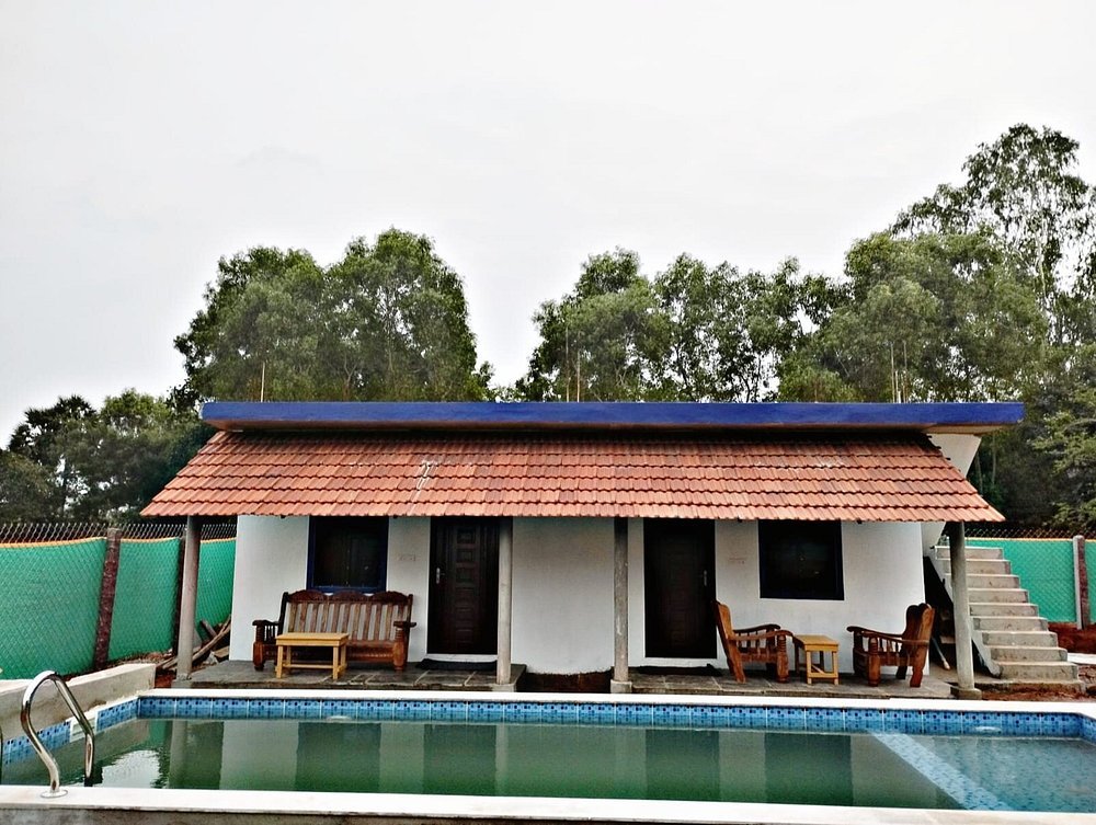 Jungle Resort Auroville swimming pool and garden